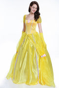 Fancy dress ball costume