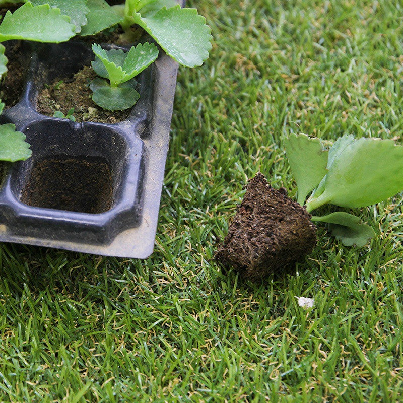 Rectangular Tray Sprout Nutrient Bowl Sprout Wheat Plastic Propagation Succulent Seedling Cup Pot