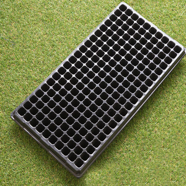 Rectangular Tray Sprout Nutrient Bowl Sprout Wheat Plastic Propagation Succulent Seedling Cup Pot